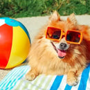 Protetor Solar Pet Colorido FPS 30 para Cães e Gatos Docg