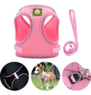 Peitoral Colete Refletivo com Guia para Cachorros Conforto e Segurança