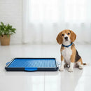 Sanitário Canino para Xixi com Tapete Higiênico Pet Azul