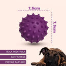 Kit 5 Brinquedos Mordedores para Cães Porte Médio e Grande