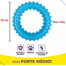 Kit 5 Brinquedos Mordedores para Cães Porte Médio e Grande