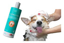 Shampoo Antibacteriano Cloresten Agener Pet 500ml Fragrância Neutra