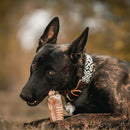 Traqueia Bovina Natural 3 Polegadas Kit com 12 Petiscos Mordedores para Cachorros