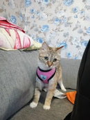 Peitoral Refletivo Rosa para Cães com Guia Tamanho M Segurança e Conforto