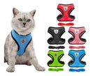 Peitoral para Gatos com Guia Azul Tamanho G Conforto e Segurança