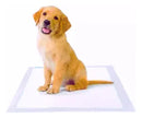 Tapete Higiênico Premium Pet Alta Absorção 60x60cm 30 Unidades