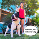 Coleira Peitoral Pet com Guia e Cinto de Segurança para Carro Porte Pequeno
