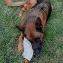 Mordedor Natural para Cães em Pele Bovina Pet 1 Unidade