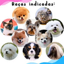 Casinha Iglu Pet Impermeável e Lavável Toca Confortável Para Cães e Gatos