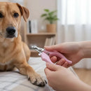 Máquina de Tosa Pet Profissional Silenciosa BoxNave para Cães e Gatos Bivolt