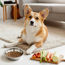 Tigela Comedouro e Bebedouro Pet em Inox 4L para Cães Grandes