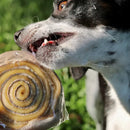 Mordedor Natural para Cães Discão de Couro Bovino Pet Bem