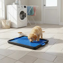 Sanitário Canino para Xixi com Tapete Higiênico Pet Azul