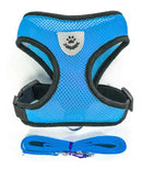 Peitoral para Gatos com Guia Azul Tamanho G Conforto e Segurança