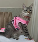 Peitoral Colete Refletivo com Guia para Cachorro Tamanho GG Rosa