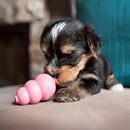 Brinquedo Recheável Kong Puppy Small para Filhotes Pequenos Rosa