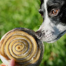 Mordedor Natural para Cães Discão de Couro Bovino Pet Bem