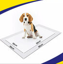 Tapete Higiênico Para Cães Comfort Higienepet 60x60cm 50 Unidades