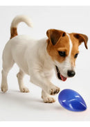 Brinquedo Pet Bola Ovo Maluco Funny Eggs para Cachorro Pequeno