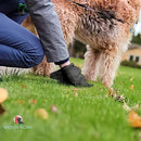 Kit 15 Refis Cata Caca Pet Sacolas Higiênicas Para Passeio Cores Sortidas
