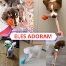 Kit 5 Brinquedos Mordedores para Cães Porte Médio e Grande