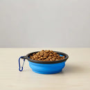 Comedouro e Bebedouro Pet Retrátil Portátil para Cães e Gatos