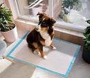 Tapete Higiênico Slim Absorvente para Cães Filhotes 60x40cm 50 Unidades