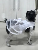 Vestido de Noiva Pet Luxo Tamanho M para Cães Médio
