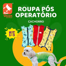 Kit 3 Roupas Pós Cirúrgicas para Cães Macho e Fêmea Cores Variadas Tam 3