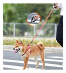 Guia Refletiva 1,5 Metros para Pets Meimei Roxa Mais Segurança