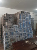 Jornal Higiênico Pet 5kg com 500 Folhas Tamanho 56x32