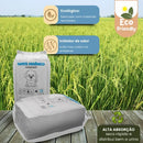 Tapete Higiênico Pet Standard 80x60cm com 50 Unidades Alta Absorção