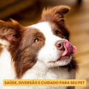 Mordedor Natural Rocambole Mineiro de Pele Bovina para Cães Alecrim Pet 1 Unidade