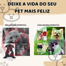 Bolinha Pet Recarregável com Luz e 3 Modos para Cães e Gatos