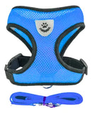 Peitoral com Guia Refletivo para Cães e Gatos Mais Segurança no Passeio