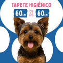 Tapete Higiênico Good Pad para Cães e Gatos 60x60cm 30 Unidades