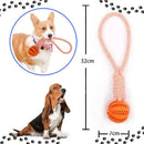 Kit 5 Brinquedos Mordedores para Cães Porte Médio e Grande