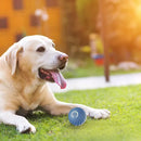 Bolinha Interativa Pet Recarregável USB para Cães Brinquedo Inteligente