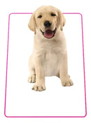 Kit 4 Tapetes Higiênicos Laváveis para Cães Xixi Dog Tamanho Grande