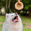 Mordedor Natural para Cães Discão de Couro Bovino Pet Bem