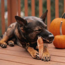 Pacote Traqueia Bovina Natural Kit com 12 Mordedores para Cachorros