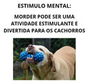 Kit 3 Mordedores Pet Maciços para Cachorros de Grande Porte Azul