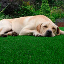 Tapete Higiênico de Grama Sintética Pet 2x0,50m Verde para Cães