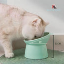 Comedouro e Bebedouro Elevado Pet em Acrílico Ursinho Cor Verde