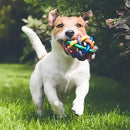 Kit 5 Brinquedos Interativos Legna para Cães Filhotes e Gatos