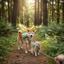 Coleira Peitoral Pet com Mochila Porta Saquinho Higiênico para Passeios