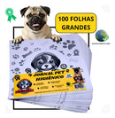 Jornal Pet Higiênico Para Cachorros 100 Folhas Grandes Papel Limpo