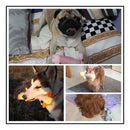 Brinquedo de Pelúcia Pet com Apito Happy Day Desenho Porquinho para Cães e Gatos