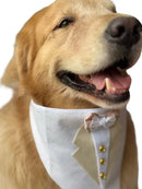Bandana Pet Smoking para Casamento Tamanho G
