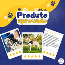 Peitoral Confortável para Cães Médios e Grandes Preto Tamanho G